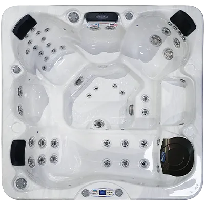 Avalon EC-849L hot tubs for sale in Virginia Beach