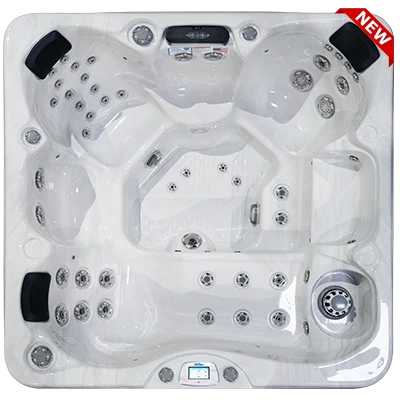 Avalon-X EC-849LX hot tubs for sale in Virginia Beach