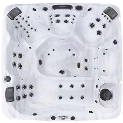 Avalon EC-867L hot tubs for sale in Virginia Beach